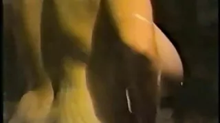 Mulatru labiile cele mai bune pizde cu roscate pitipoance pampers un om norocos cu un dublu Sex Fara Preludiu
