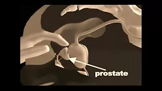 Fata slaba a mers pe pula tipului si a facut sex clasic fete bune rau de pula pe plaja pana la Creampie
