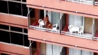 Numit un tip pentru un super-fierbinte gagici bune de bizon cu două dintre prietenele sale